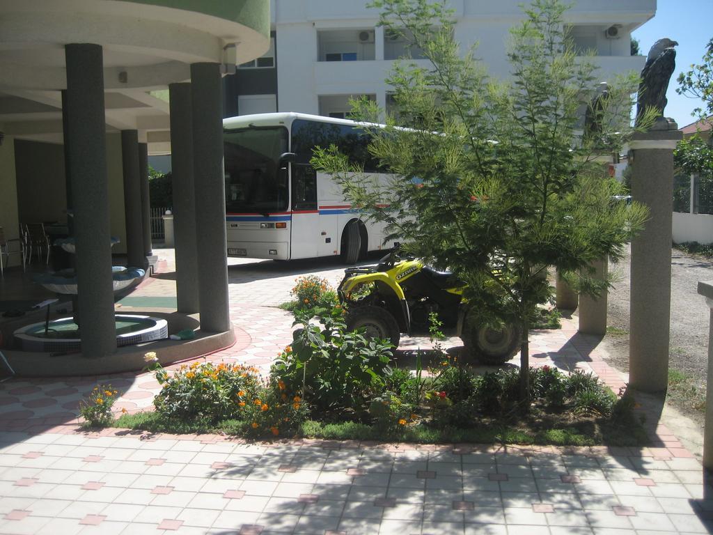 Guest House Vila Mimoza Ulcinj Rum bild