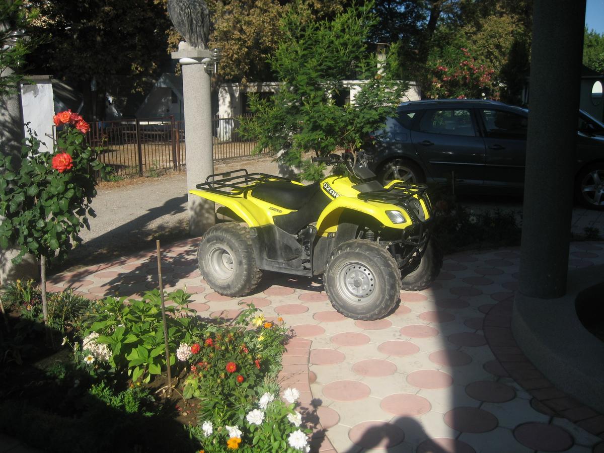 Guest House Vila Mimoza Ulcinj Exteriör bild